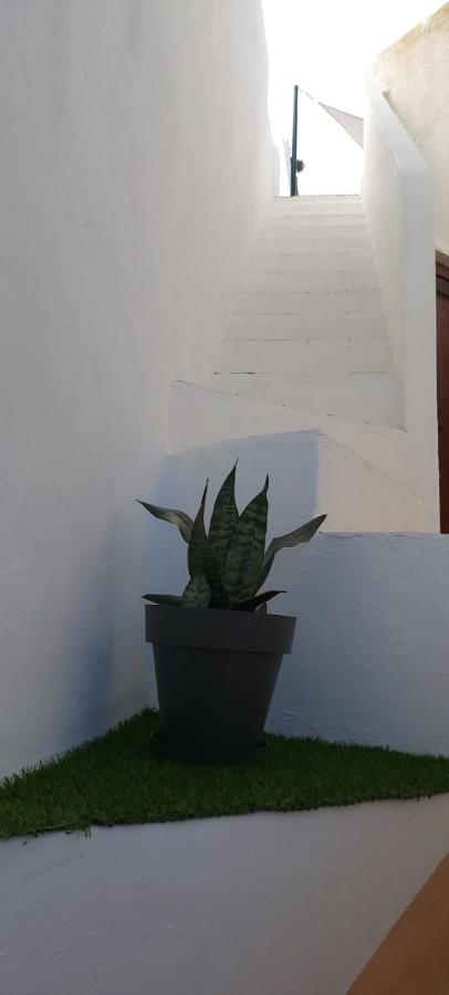 Ofelia Terrace House Διαμέρισμα Portimão Εξωτερικό φωτογραφία